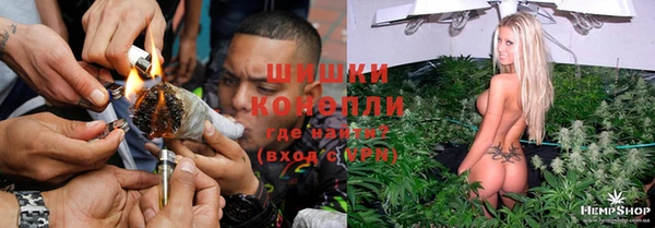 mdpv Архангельск